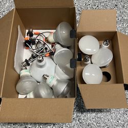 LED Bulbs (x12)