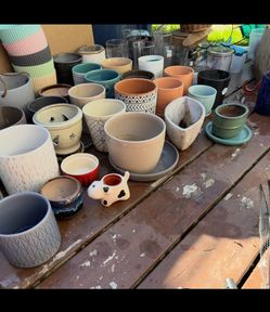 FREE plant pots