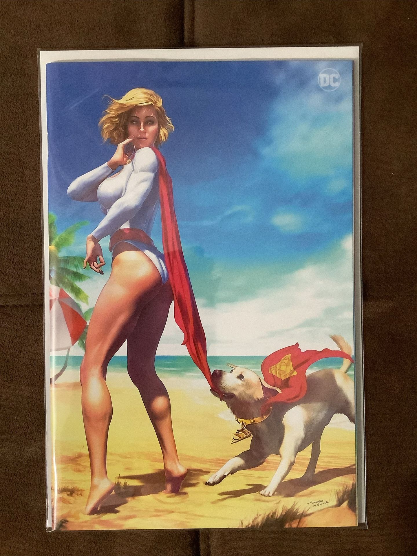 DC Comics Gnorts Illustrated Virgin Cover