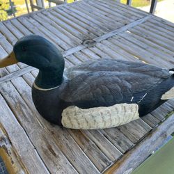 Carl Huff ‘88 Phase IV Duck Decoy 