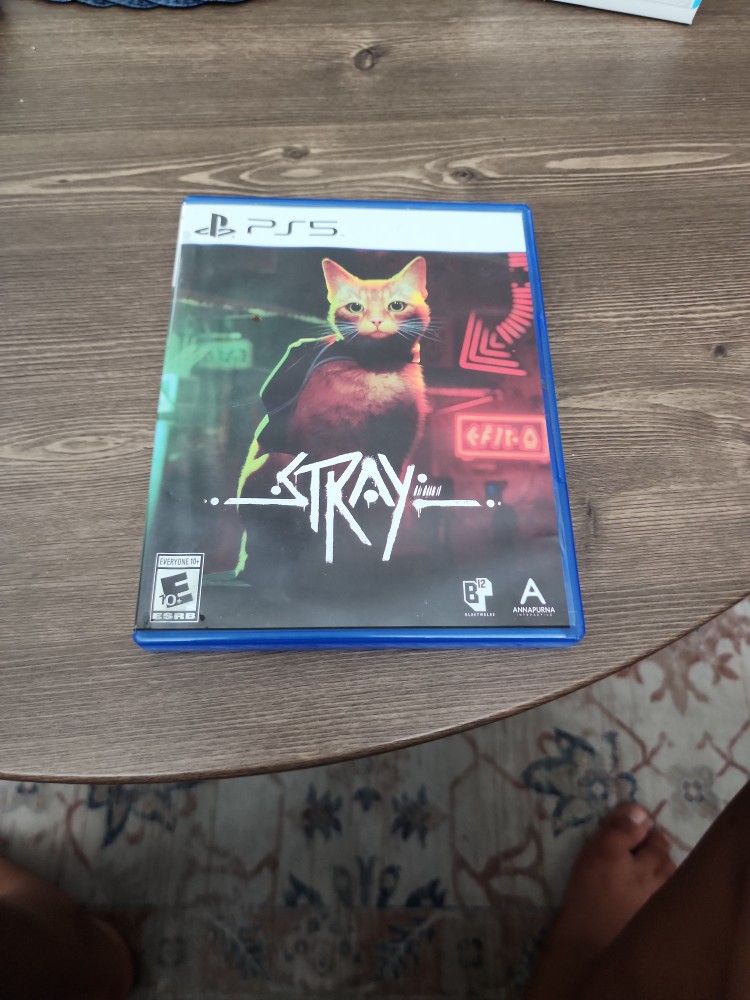 PS5 Game Stray
