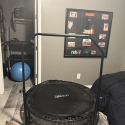 Workout Trampoline