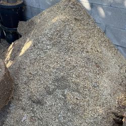 Saw Dust
