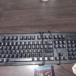 Steelseries Computer Keyboard 