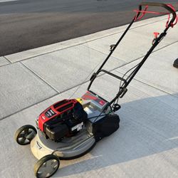 Masport Rotarola Rear Roller Striping Mower
