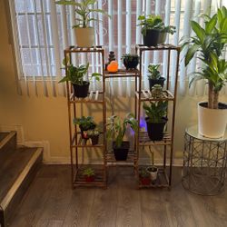 Plant Stand  