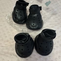 New Dog Shoes Without Tags