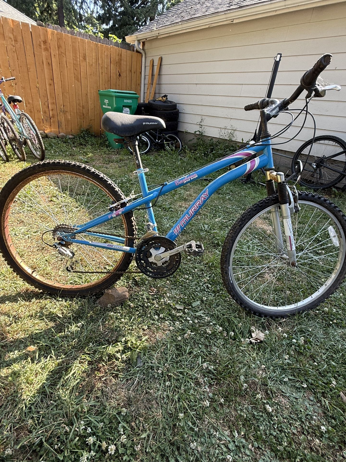 Murray Bay Breeze Girl Bike
