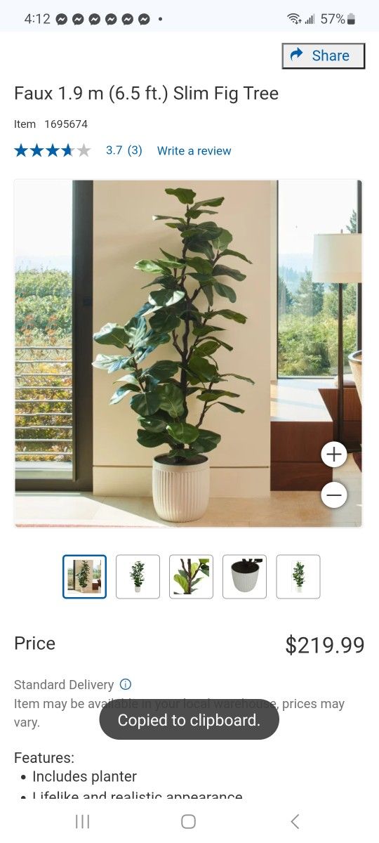 Faux 1.9 m (6.5 ft.) Slim Fig Tree $180