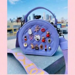 fancy bag