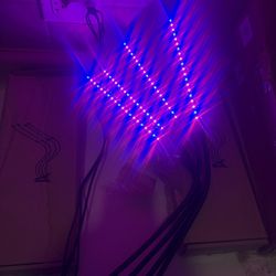 Plant Lights With Timer / Full Modes / Plant Grow Light 