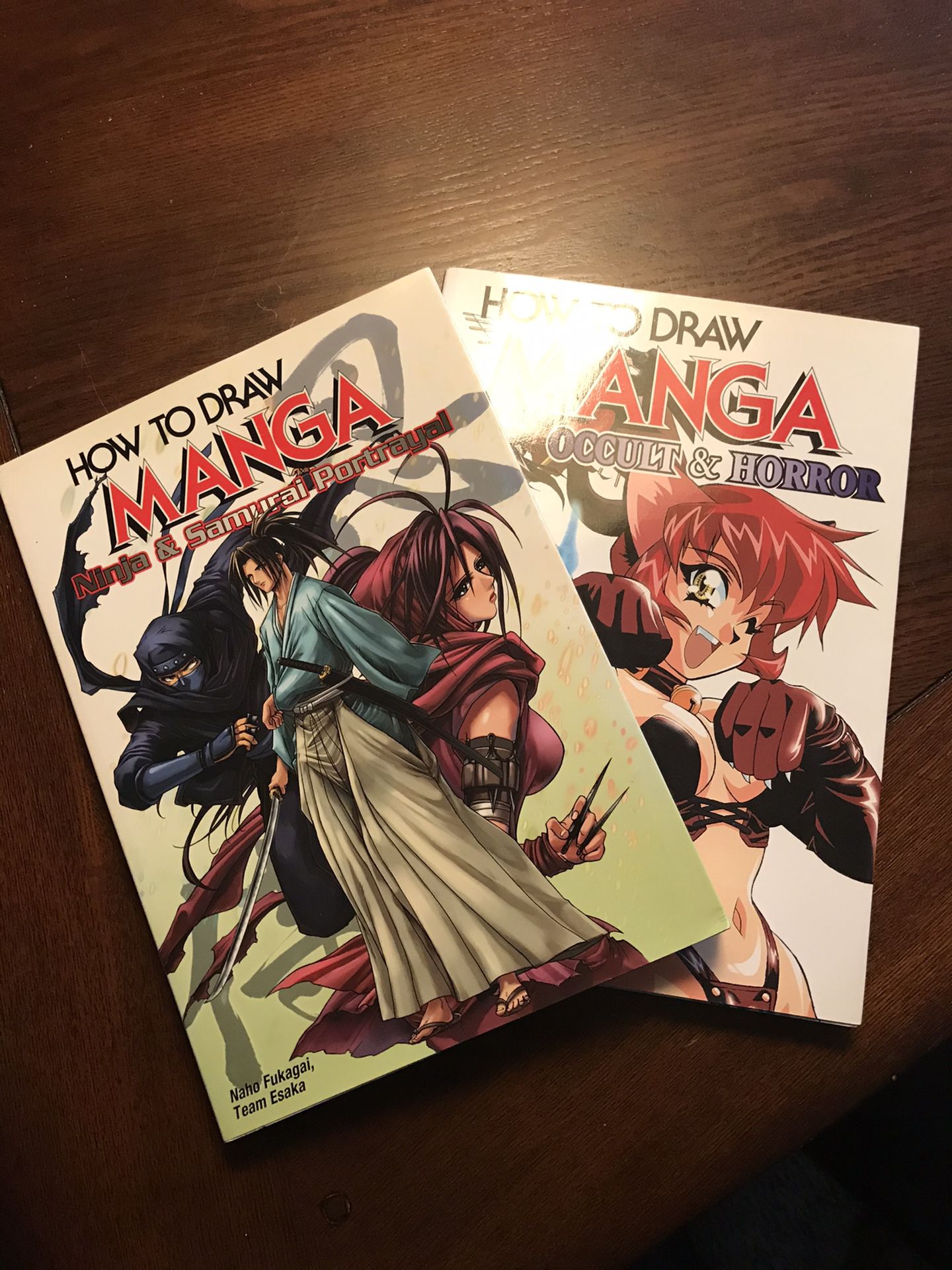 Two (2) How to Draw Manga Books
