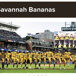 Savannah Bananas- trade 1 sunday ticket for 1 saturday ticket 