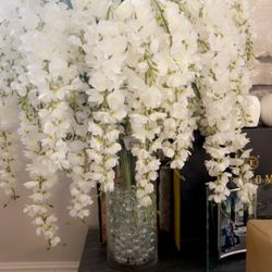 GLASS VASE ARTICLE PLANT