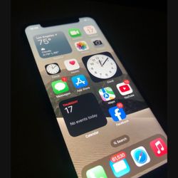 iPhone X Unlocked 