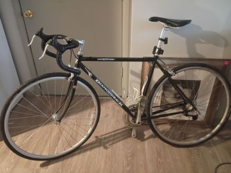 Interval Diamondback Adult