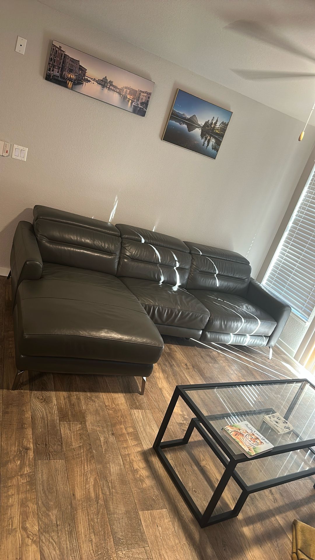 Leather Couch-Reclining Sectional