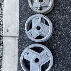 245 Pounds of Cast Iron Weights 