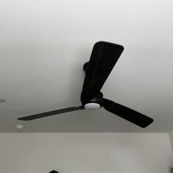 Modern 3-Blade Ceiling Fan w/ Light & Remote – Black / Dark Wood
