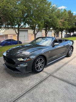 2019 Ford Mustang EcoBoost