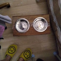 A Dog Bowl For Water And Food