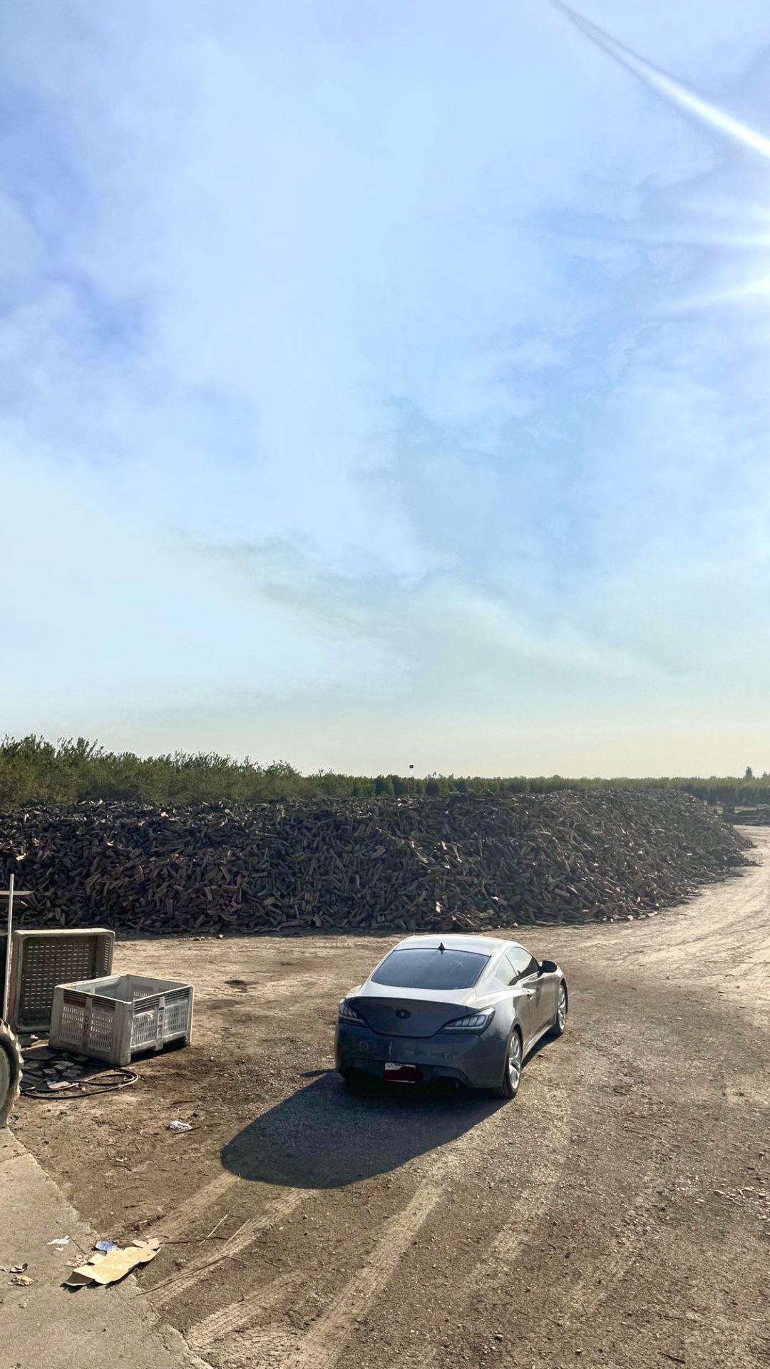 Seasoned Fire Wood