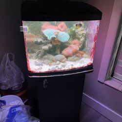 20 Gallon Nano Fish tank 