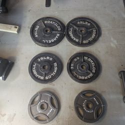Olympic Plates 