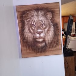 Lion Picture