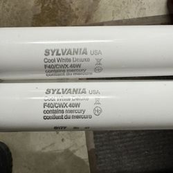 4 Ft Fluorescent Tubes