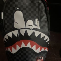 Bape Bag 