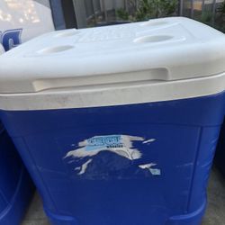 Igloo Cooler 