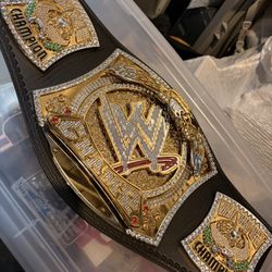 WWE SPINNER CHAMPIONSHIP