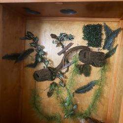 Reptile enclosure