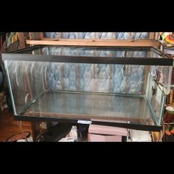 35 Gallon Enclosure and Accessories (willing to sell items separately)