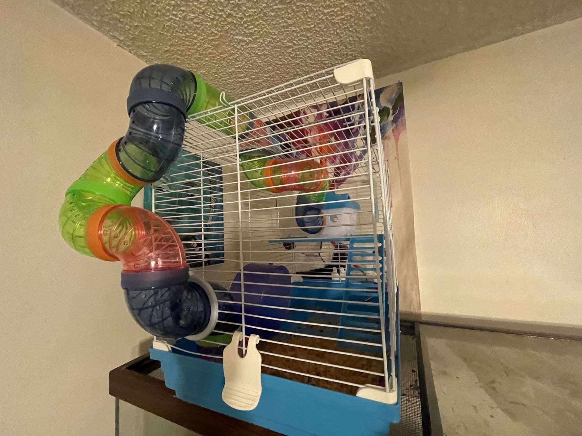 Hamster Cage And Food 