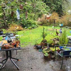 Huge sale!!! For gardeners comic nerds homemakers