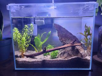 Fish Tank