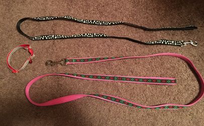 Dog leashes and collar