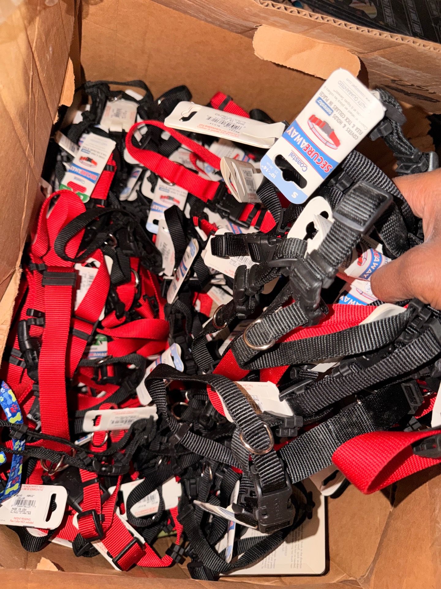 “Perfect Fit: Dog Collars in Every Size”