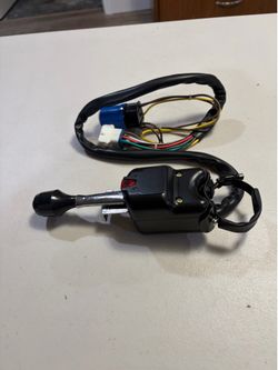 Turn signal and horn
