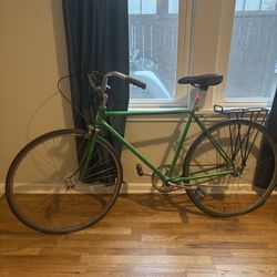 Vintage Schwinn Cruiser