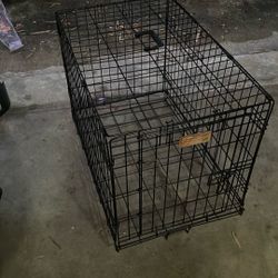 Dog Cage 