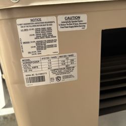 Swamp Cooler New Champions 