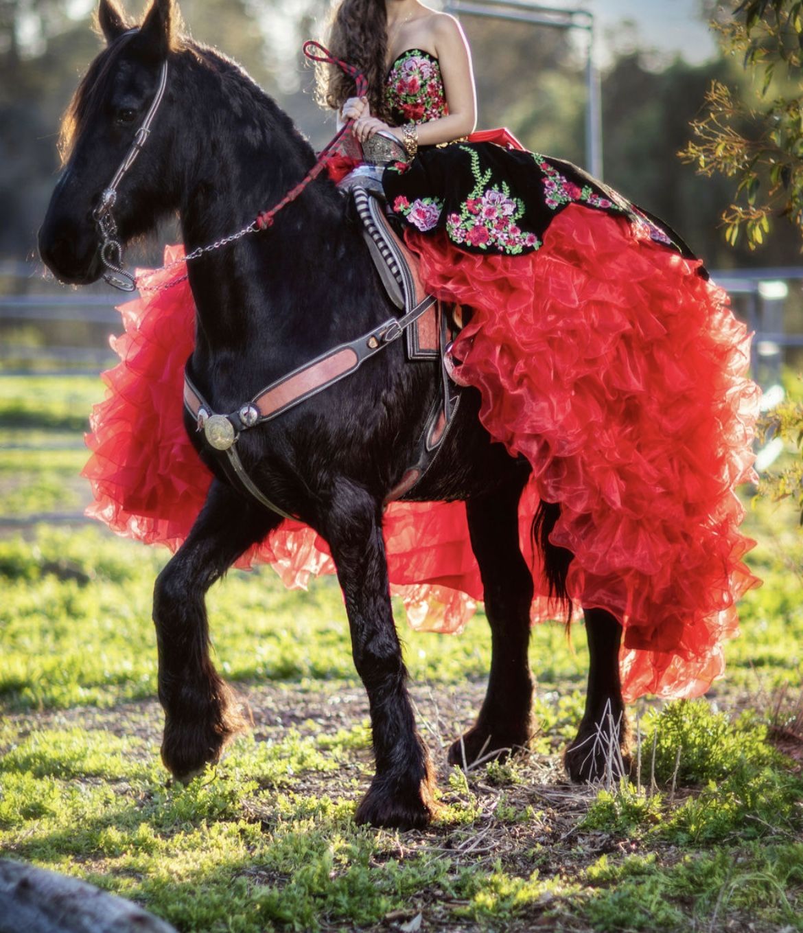 Quinceanera Red Charro Dress  “Must See “