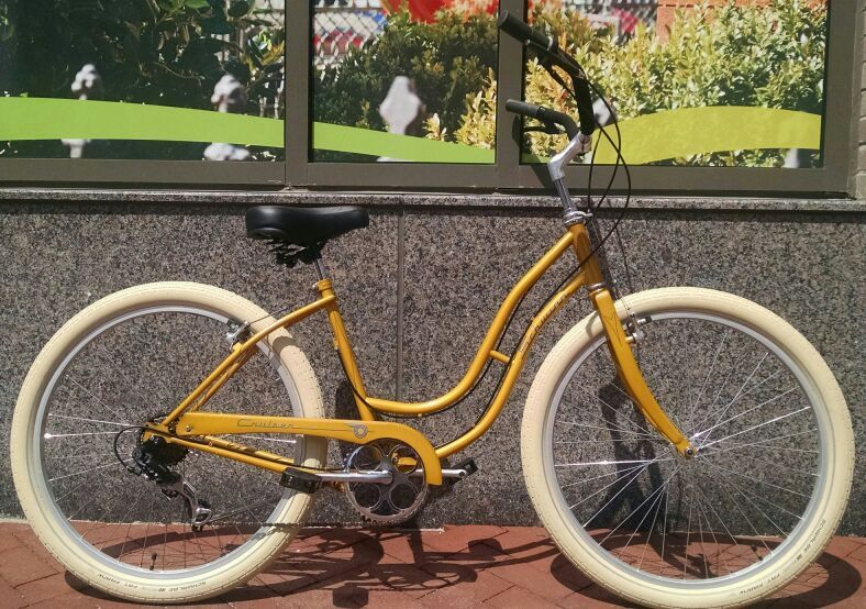 100th Anniversary Schwinn Cruiser 6