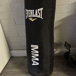 Boxing Bag 