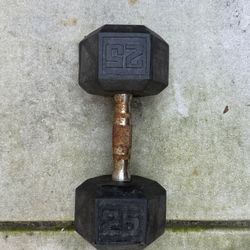 Single 25LB Dumbbell 