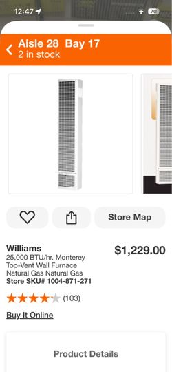 Williams 25,000 BTU/hr. Monterey Top-Vent Wall Furnace Natural Gas Natural Gas
