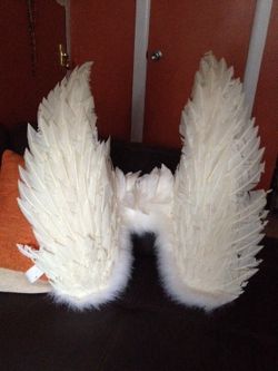 Angel wings